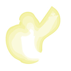 Watercolor Swirl Brushstroke Yellow
