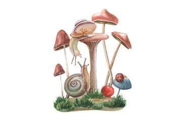 Isolated illutration of forest characters. Mushrooms with cute snails on the grass. Cartoon art. 