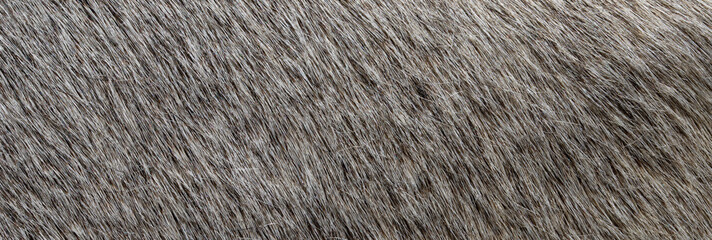 close up photo of gray fur texture background	