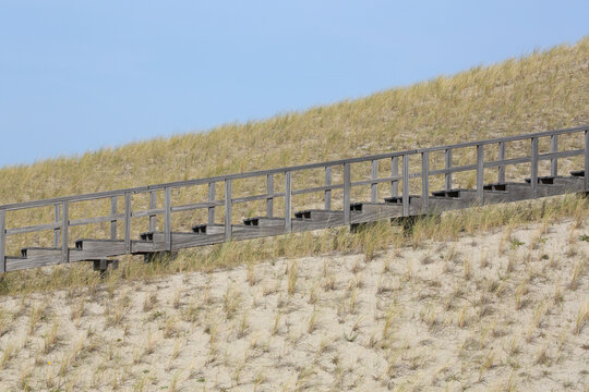 Petten Bilder Durchsuchen 511 Archivfotos, und Videos