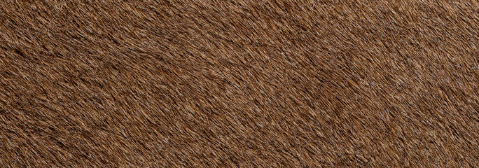 close up photo of brown fur texture background	