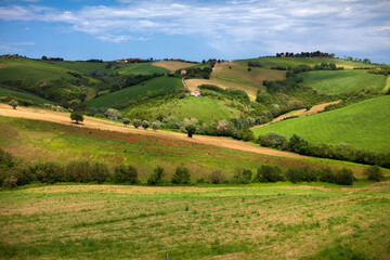 Fototapeta na wymiar Central Italy cultivated hills