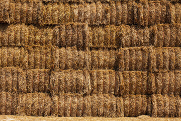 Stacked Straw Hay Bails