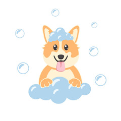 Dog bath. Poster for grooming salon. Cute design.