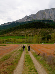 Fototapeta na wymiar dos caminantes en un paisaje alavés. Basque Country