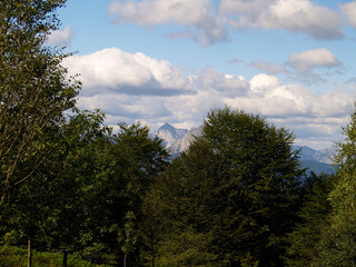 Fototapeta premium Monte Udalatx y bosque. Basque Country