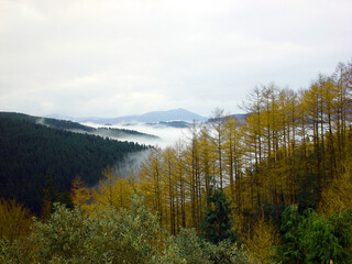 niebla sobre el valle, Basque Country