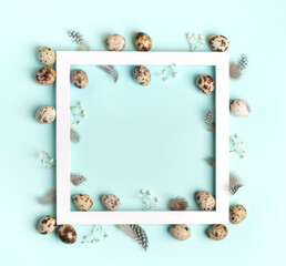 Fototapeta premium White square frame with quail eggs, feathers, white gypsophila flowers on light blue. Easter card.