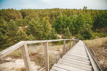 Staircase from the beach to the pine forest in the Curonian Spit