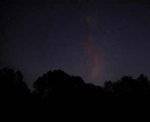 Milky Way and stars silhouetting a forest
