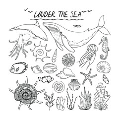 Vector set of sea animals and plants.