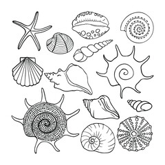 Vector set of sea shells.