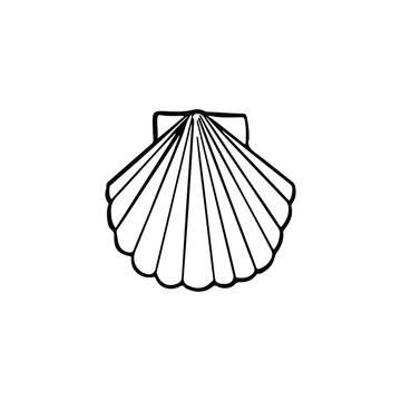 recommend clip art: Single vector element isolated on white background. Seashell