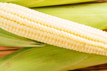 One sweet yellow raw milk corn ear cobs maize with white granule green fresh ingredient product. Lie on wooden background table. Green juicy leafy streaks. Side cooking preparing dish. Close up