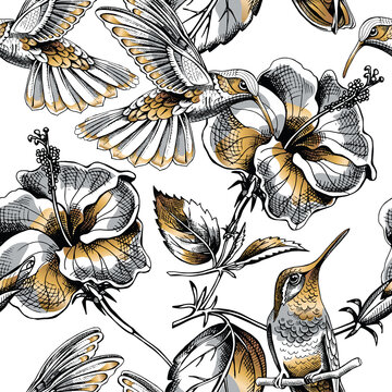 Seamless pattern with image gold Hummingbird and Hibiscus flowers on a white background. Vector illustration.