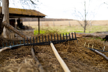 Fototapeta na wymiar the rake lies on the hay with selective focus