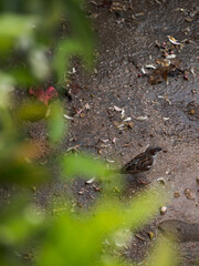 Fotografias de exteriror