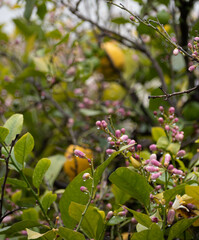 Fotografias de exteriror