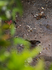 Fotografias de exteriror