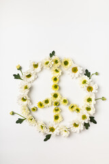 Peace symbol made of white flowers on a bright background