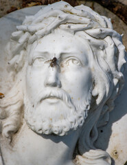 Naklejka premium The Statue of Jesus Christ, with a one fly sits on his nose, a rural cemetery.