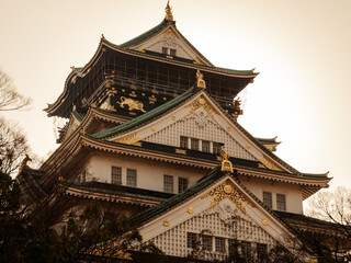 Fototapeta premium 大阪城天守閣