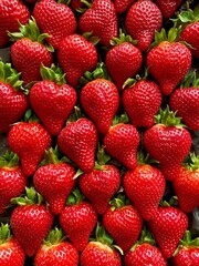 Fresas en el mercado
