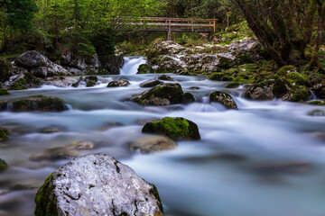 Fototapeta na wymiar Waterscape clean water - Sunikov Vodni Gaj Slovenia