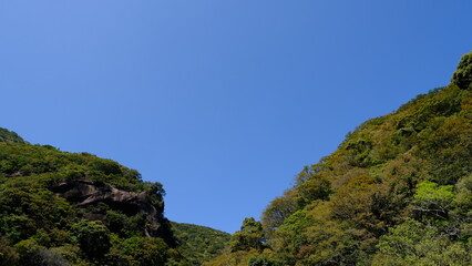 森と空