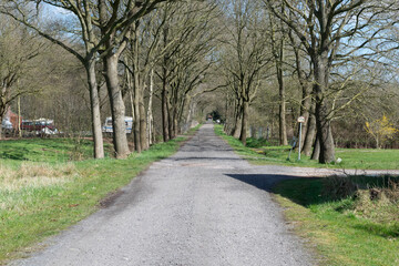 country road in the park