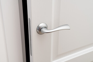 Interior door with handle and modern magnetic pawl.