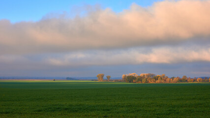 morning in the countryside in Ukraine