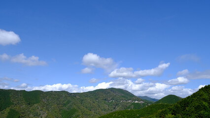 Fototapeta premium 空