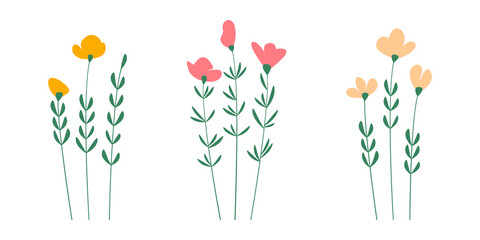 Flat style color flowers bunch set isolated on white. Minimal botanical vector illustration. Floral bundle, decor, ornament, design element for print, pattern or card.