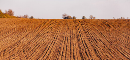 Early spring plowed field  ready for new crops.  Farm, agricultural landscape. Copy space background.