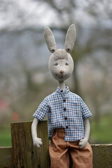 Portrait of a doll rabbit boy in a rustic style.