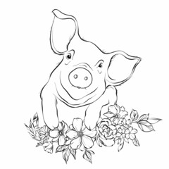 Vector doodle coloring book page cute pig in flowers. Anti-stress for adults and children