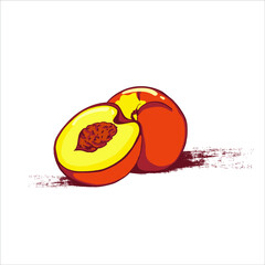 Vector illustration of a peach with a brushstroke of paint. Isolated icon on white background.