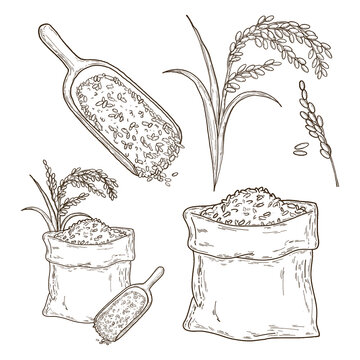 Selling Rice Drawing Rice Drawing Images – Browse 442,004 Stock Photos, Vectors, and Video ...