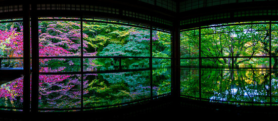 Panorama view of  Autumn Japanese garden of Rurikoin temple, Kyoto, Japan. Beautiful symmetrical reflection of the view across the window on the black lacquered table.