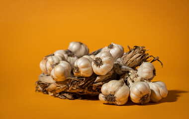 Fragrant Garlic wreath lies on yellow background. Agriculture and farming