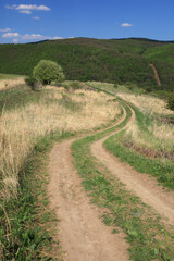 Winding dirty road in landscape