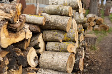 firewood lies on the ground with selective focus