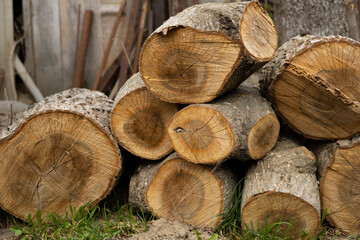 firewood lies on the ground with selective focus