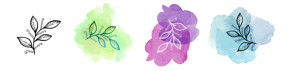 Set tropical Leave on watercolor blot. Provence Illustration. Laurel Leave. Set Illustration on white background