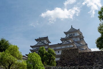 Fototapeta na wymiar 夏の姫路城