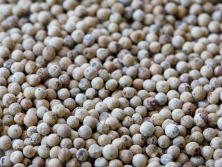 heap of dried white pepper peppercorns (dried ripe piper nigrum fruits). closeup full frame, food backgound, copy space
