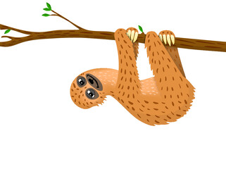 Gl&uuml;ckliches Faultier