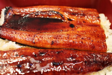 美味しいうな重のアップ