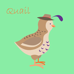 bird quail